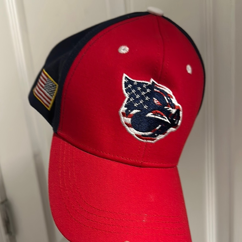 Patriotic Red and Blue Baseball Cap